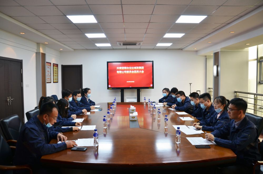 烟台业达城市发展集团召开团员大会 选举产生第一届团委班子