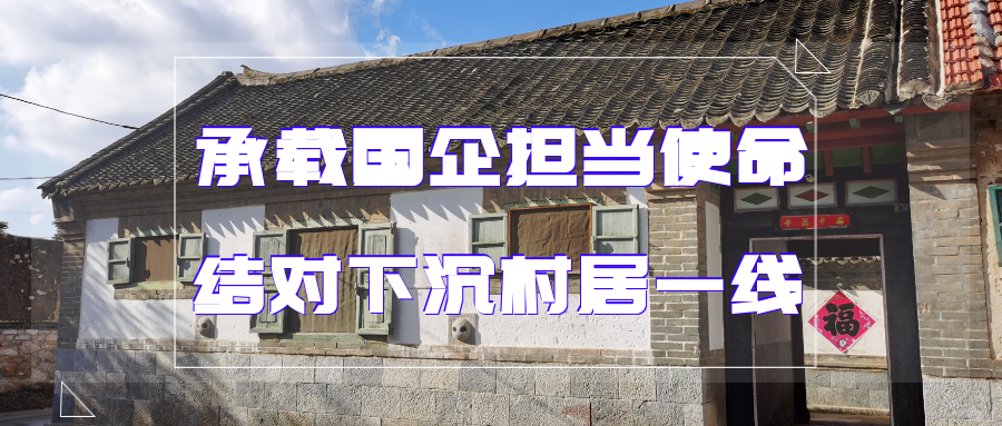 共建美丽家园 诗意和谐栖居 ——业达城发集团:承载国企担当使命 结对下沉村居一线