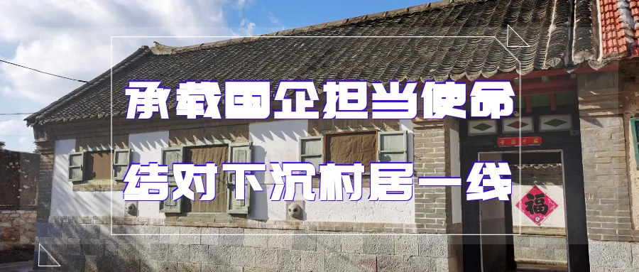 共建美丽家园 诗意和谐栖居 ——业达城发集团:承载国企担当使命 结对下沉村居一线