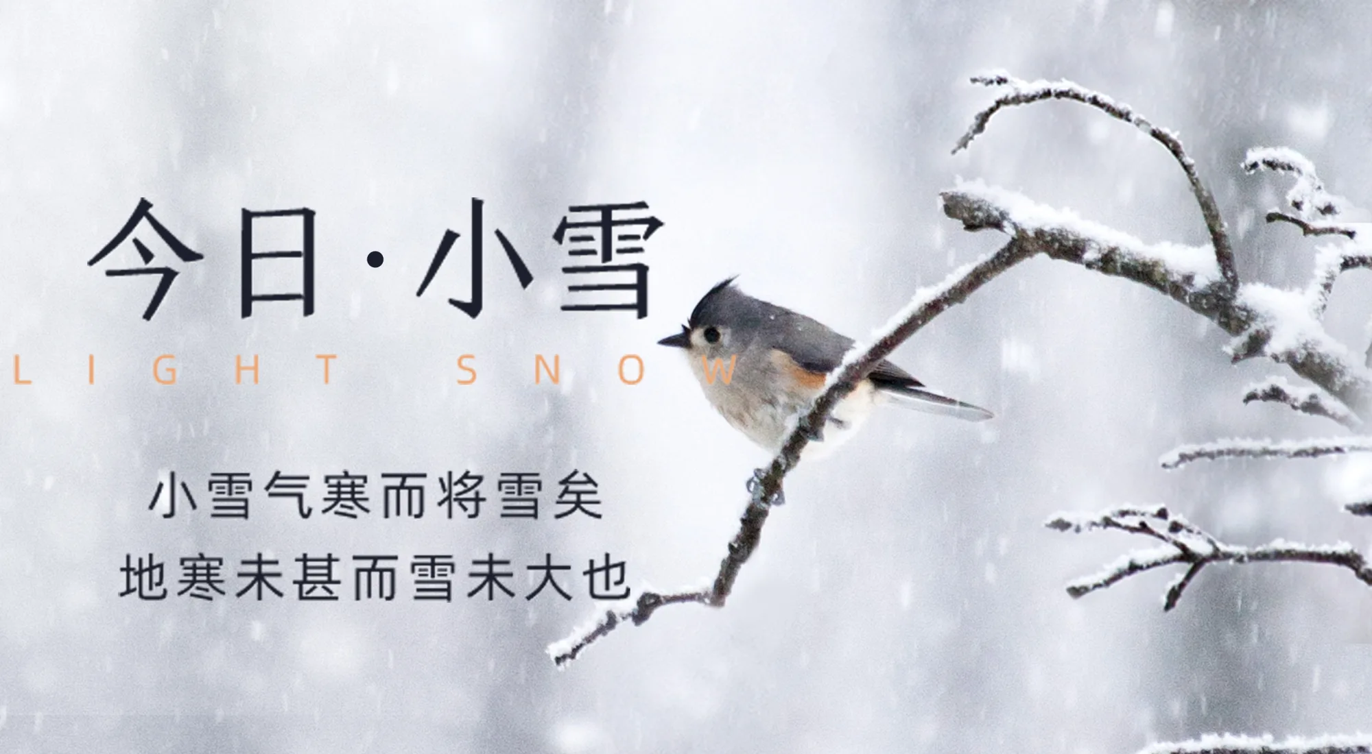 二十四节气 | 小雪