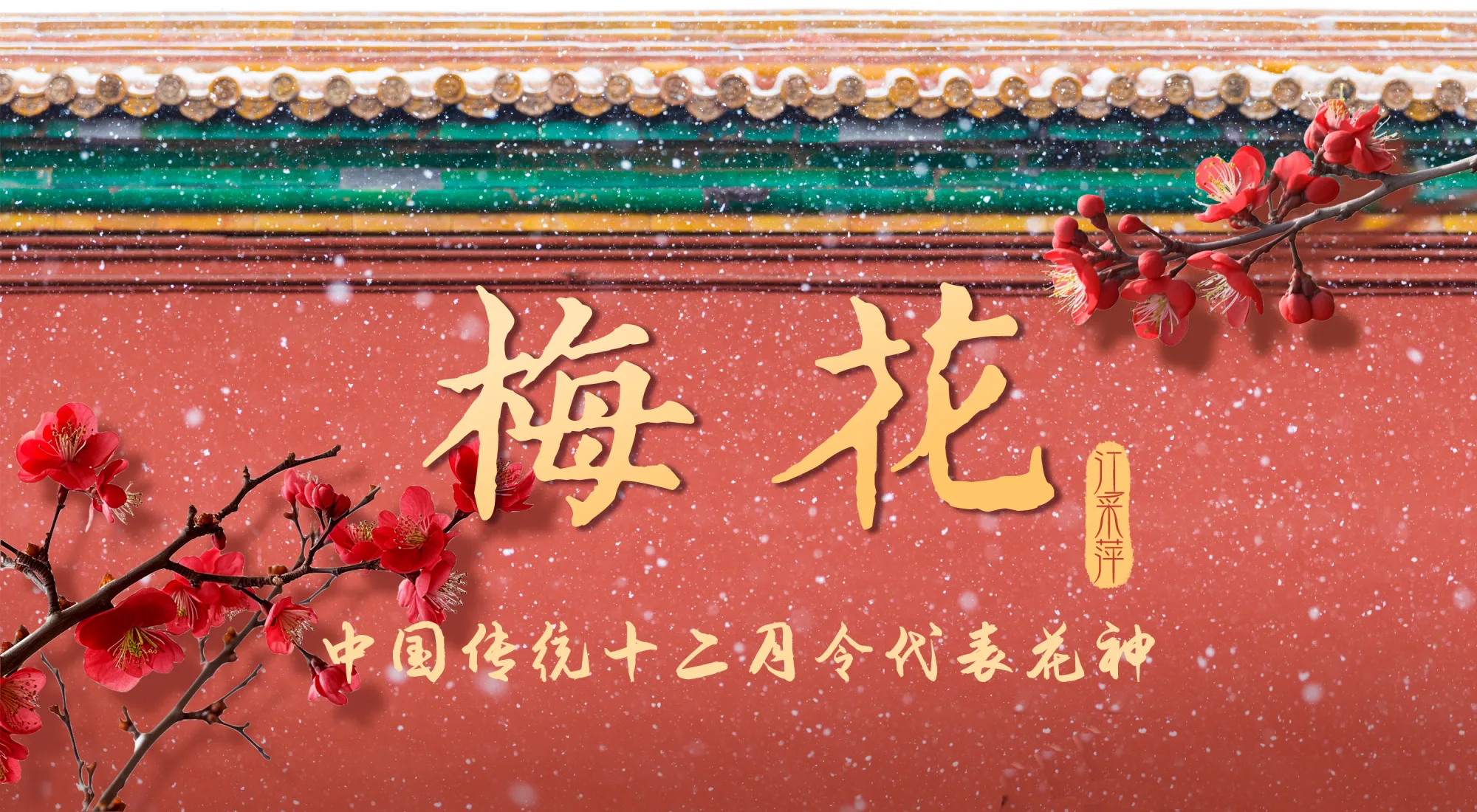 中国传统十二月令代表花神丨一月梅花