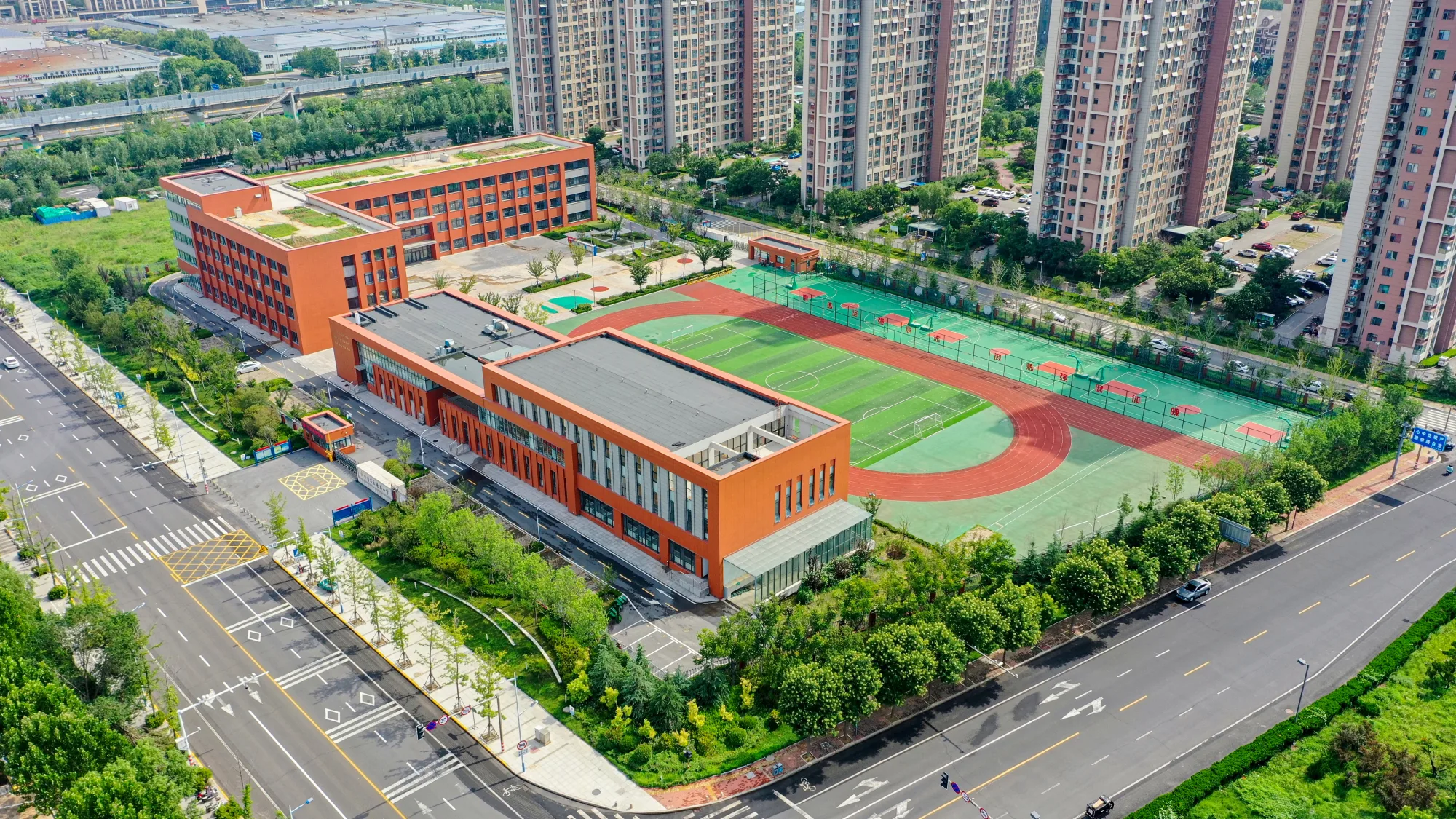 烟台开发区第十三小学 图集图片 6