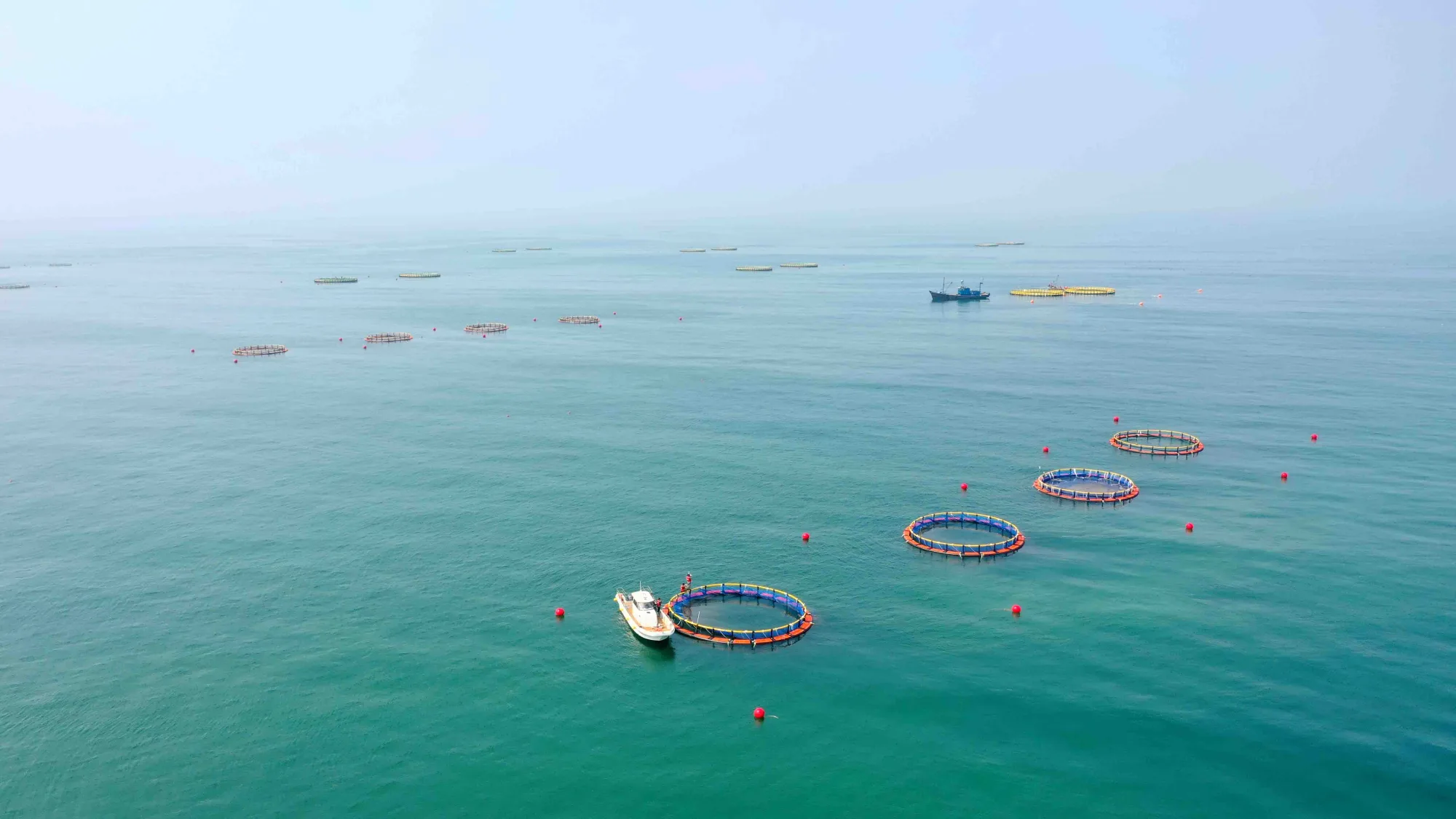 海洋牧场 图集图片 3