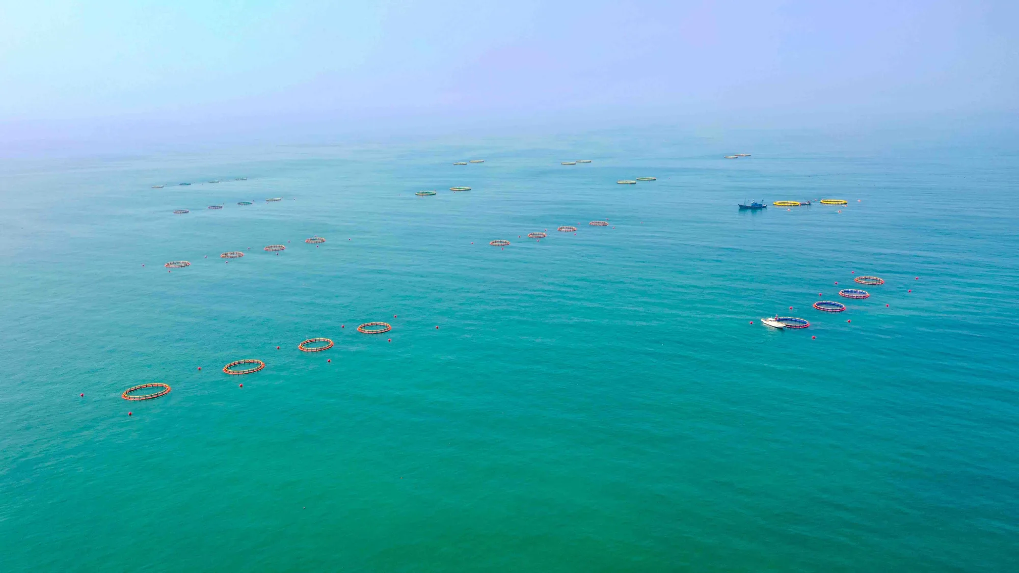 海洋牧场 图集图片 2